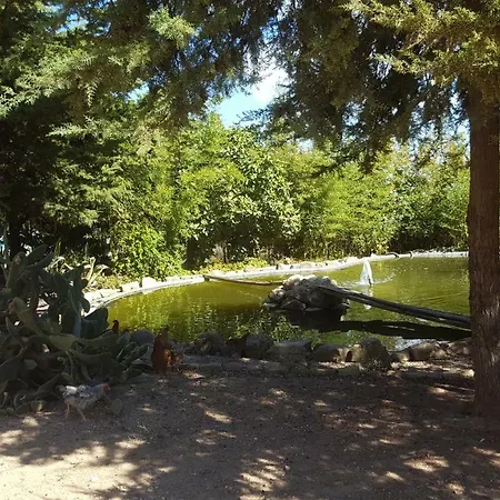 Fazenda Viegas Kwatera prywatna Lagos