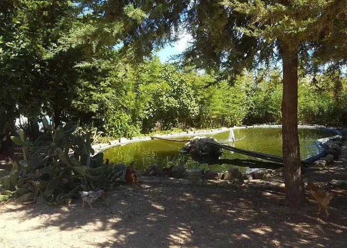 Fazenda Viegas בית אירוח לאגוּ‏ש